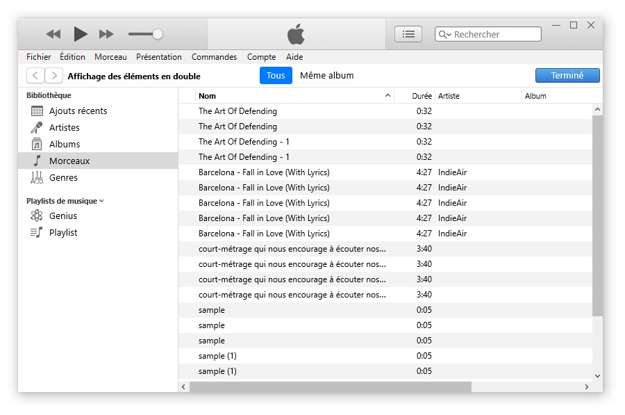 supprimer les doublons itunes un par un manuellement