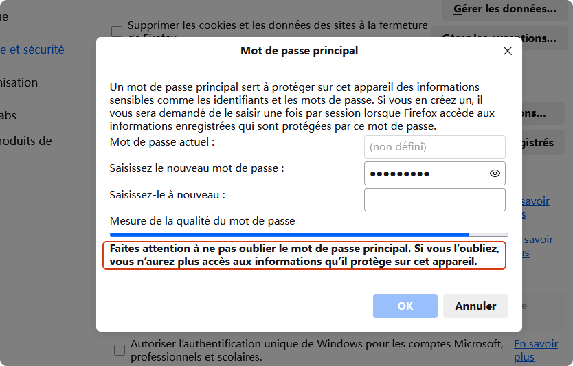 mot de passe principal de sécurité personnelle firefox