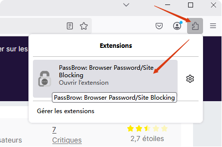 extensions sécurité firefox