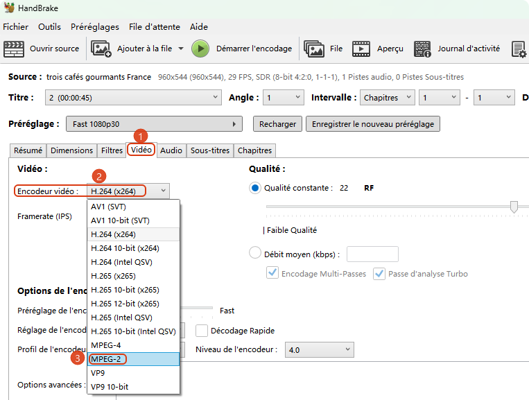 MP4 en MPEG2 gratuit handbrake