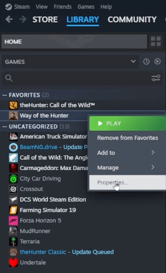 verify steam 02