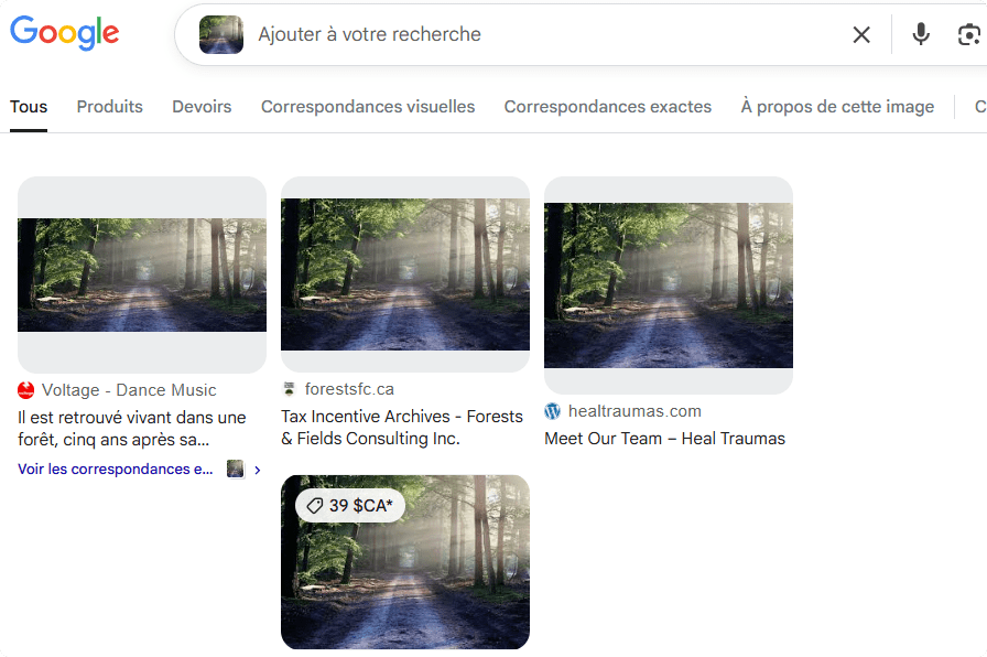 recherche images similaires google