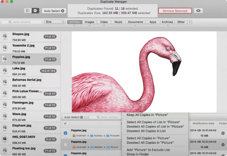 Duplicate Manager résultat