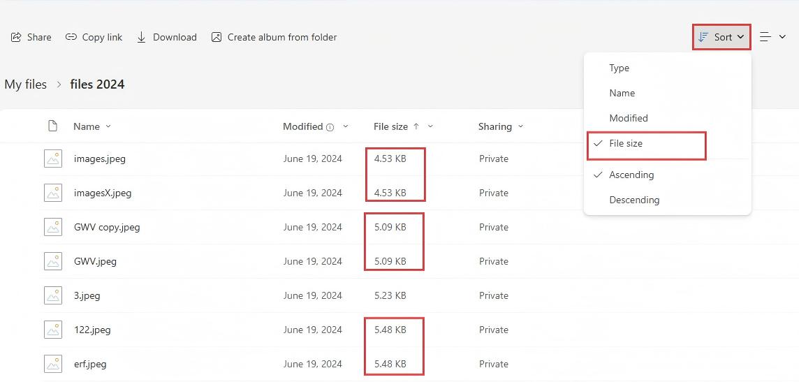 sort files by size