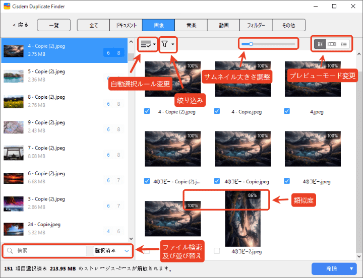 the Images tab displaying all the duplicate photos files that have been found