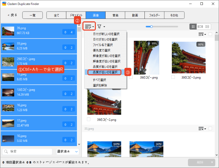 the Similar Images tab displaying near duplicate pictures