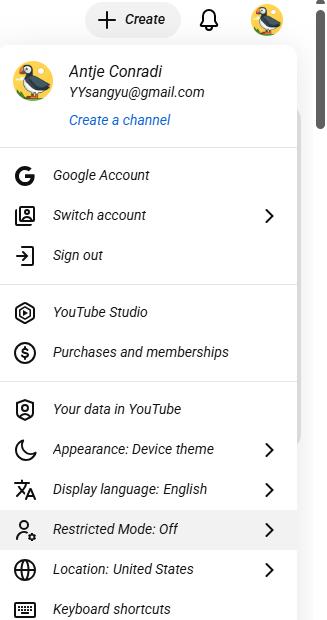 turn on restricted mode