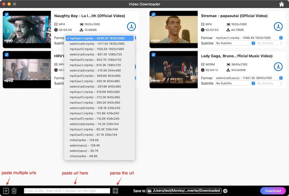 download youtube videos with videopaw