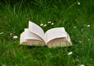 reading