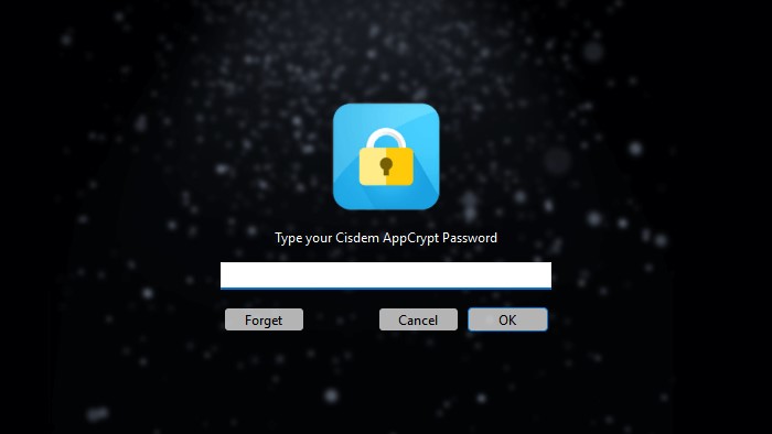 enter the password to access the main window