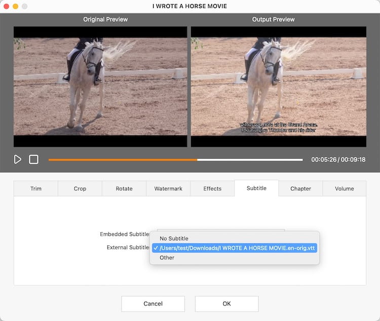 add subtitles to video 